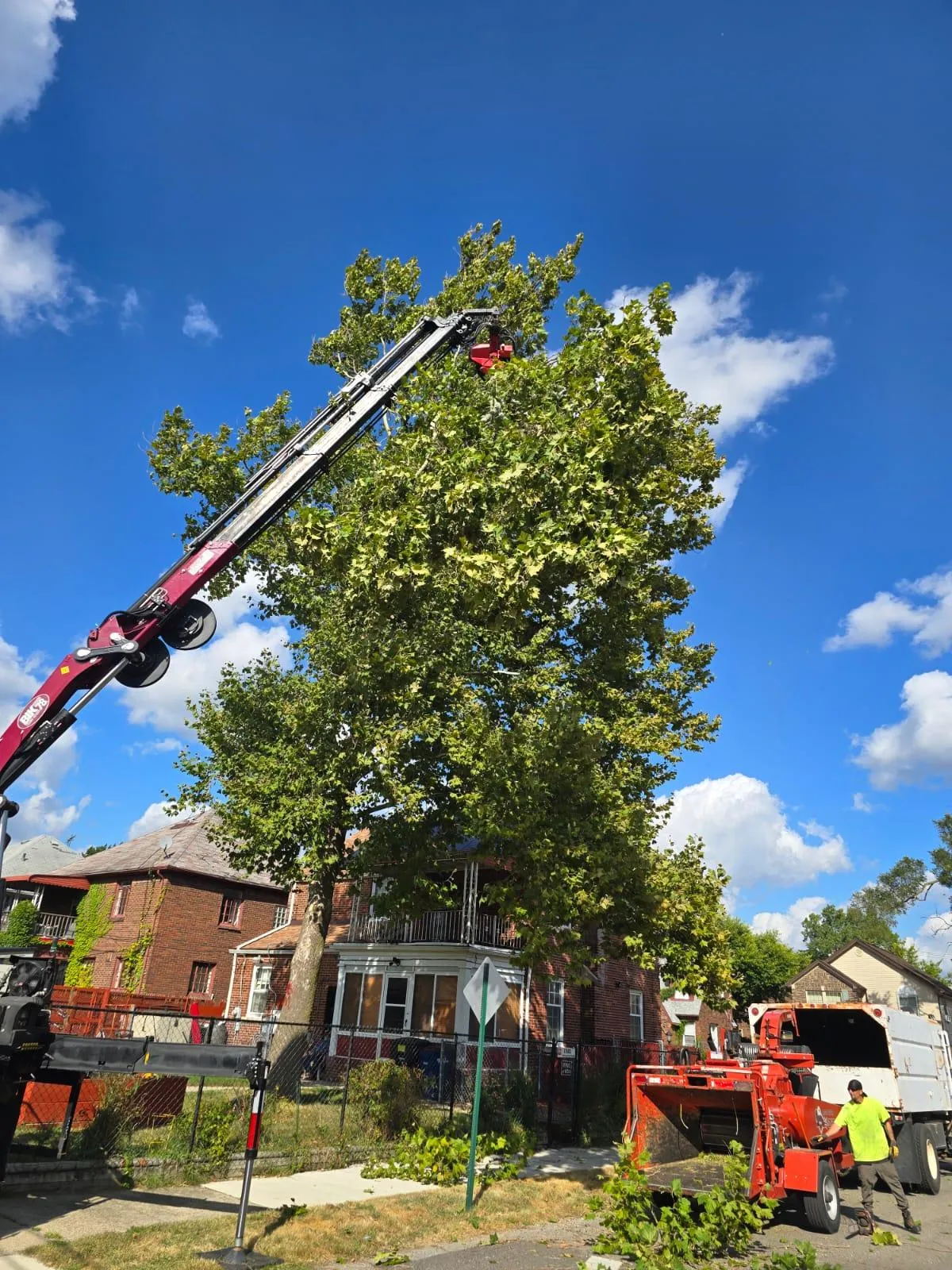 Gary's Tree Services project