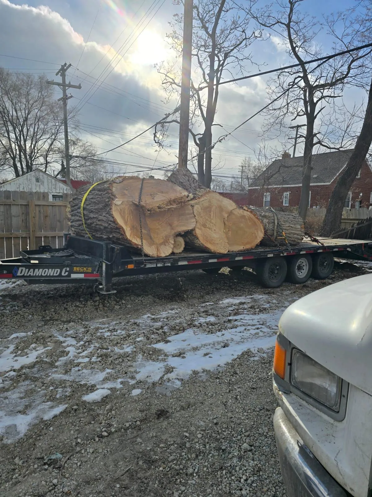 Tree work near home